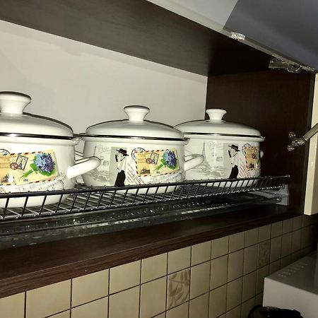 Large Apartment In The City Center Munkács Kültér fotó